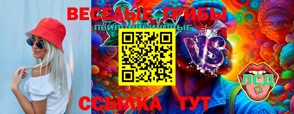 Галлюциногенные грибы Magic Shrooms Лениногорск