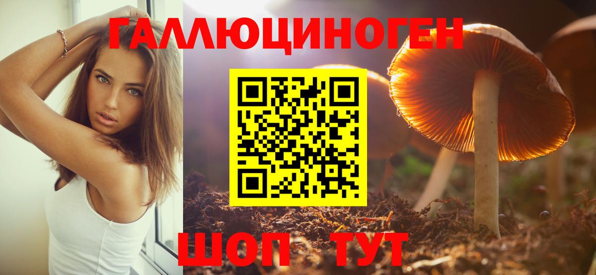 Галлюциногенные грибы мицелий  Вход с VPN  Галлюциногенные грибы Magic Shrooms  Лениногорск 